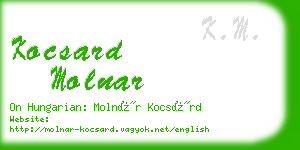 kocsard molnar business card